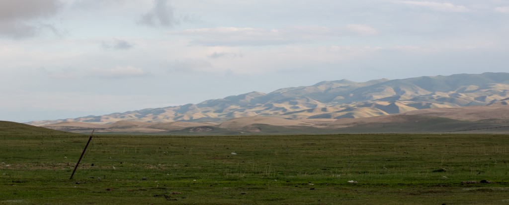 Serpentine Hills at Sunset