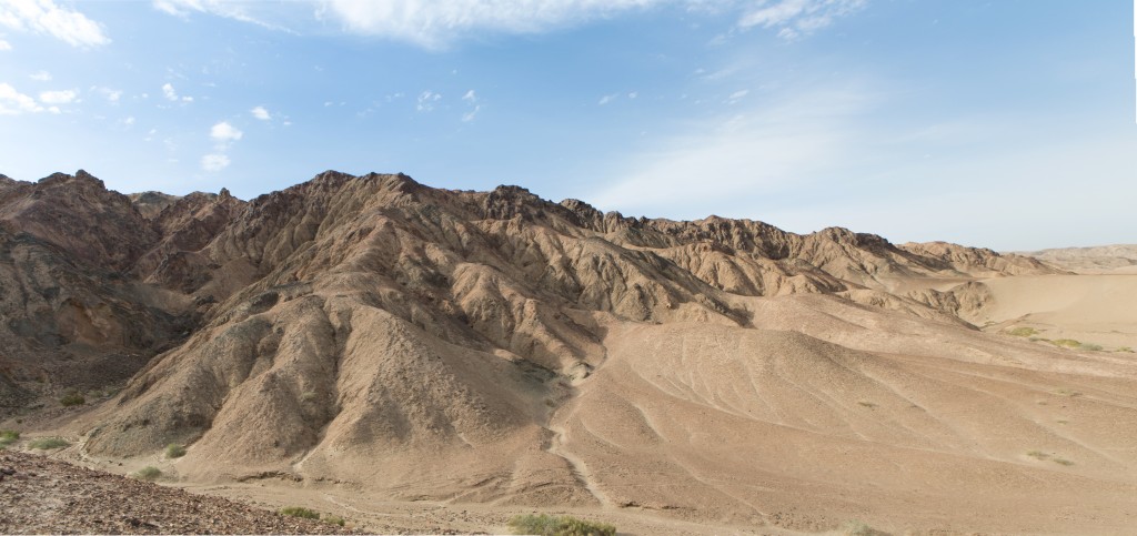 Desert Panorama