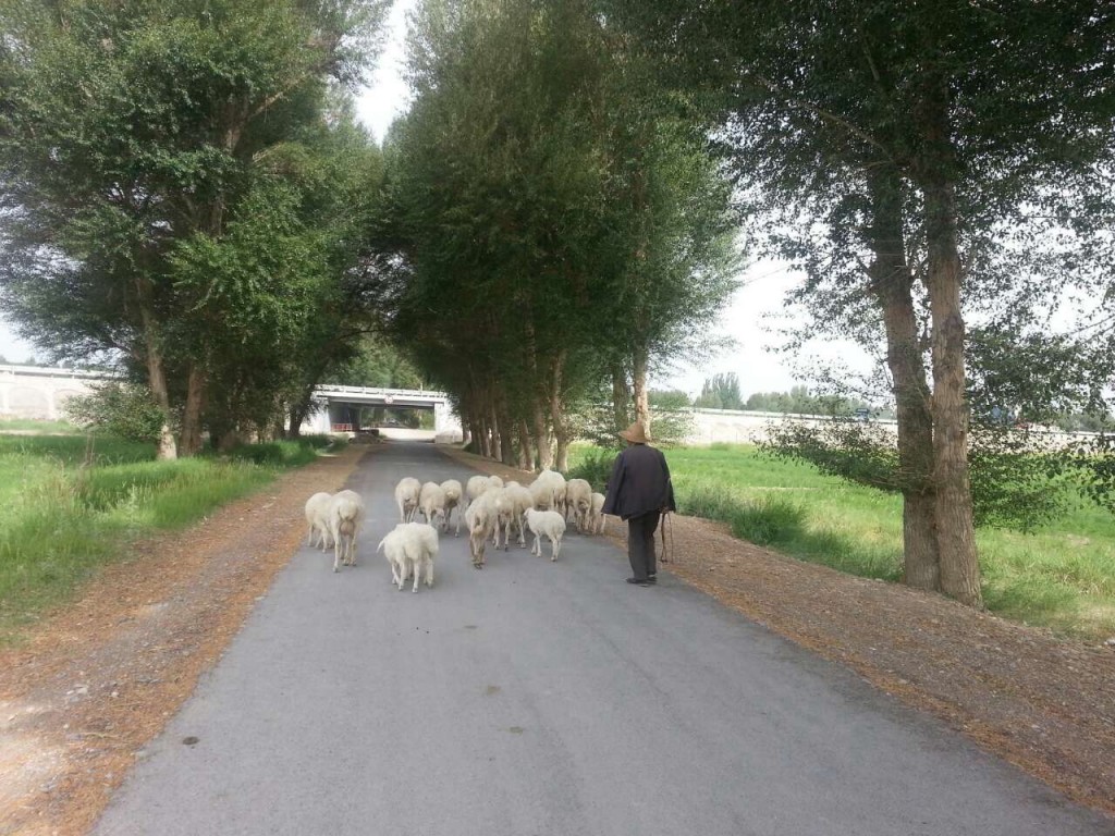 Morning Traffic Jam