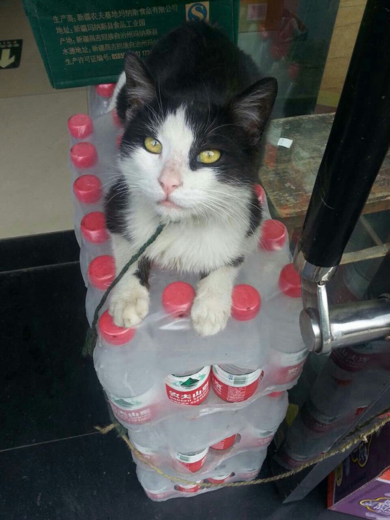 May I interest you in a bottle of water?