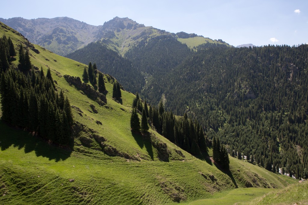 Moving into the wilder parts of Tianchi National Park