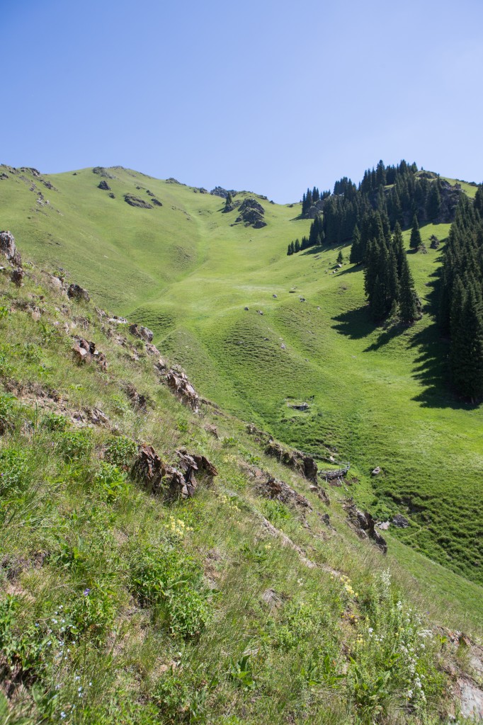 Climbing the Ridgeline