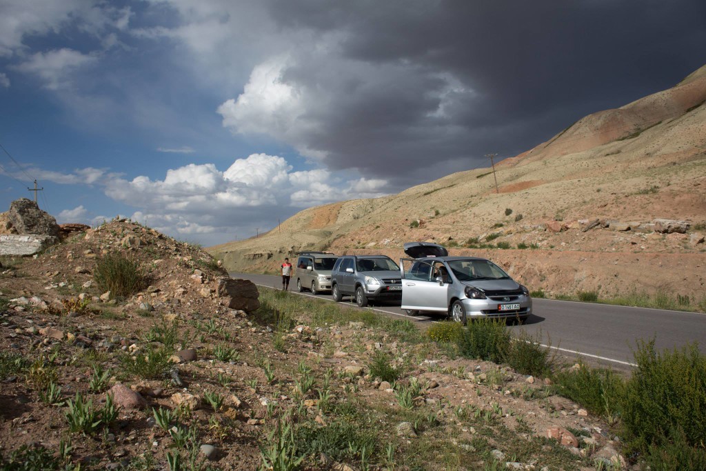 Three Car Family