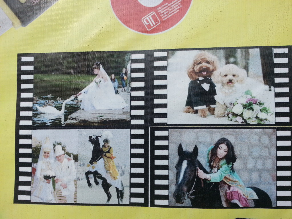 Look at these happily married poodles