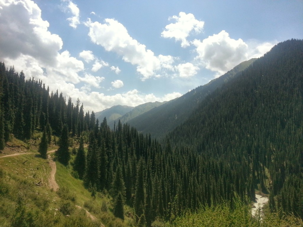 The Long and Windy Road 