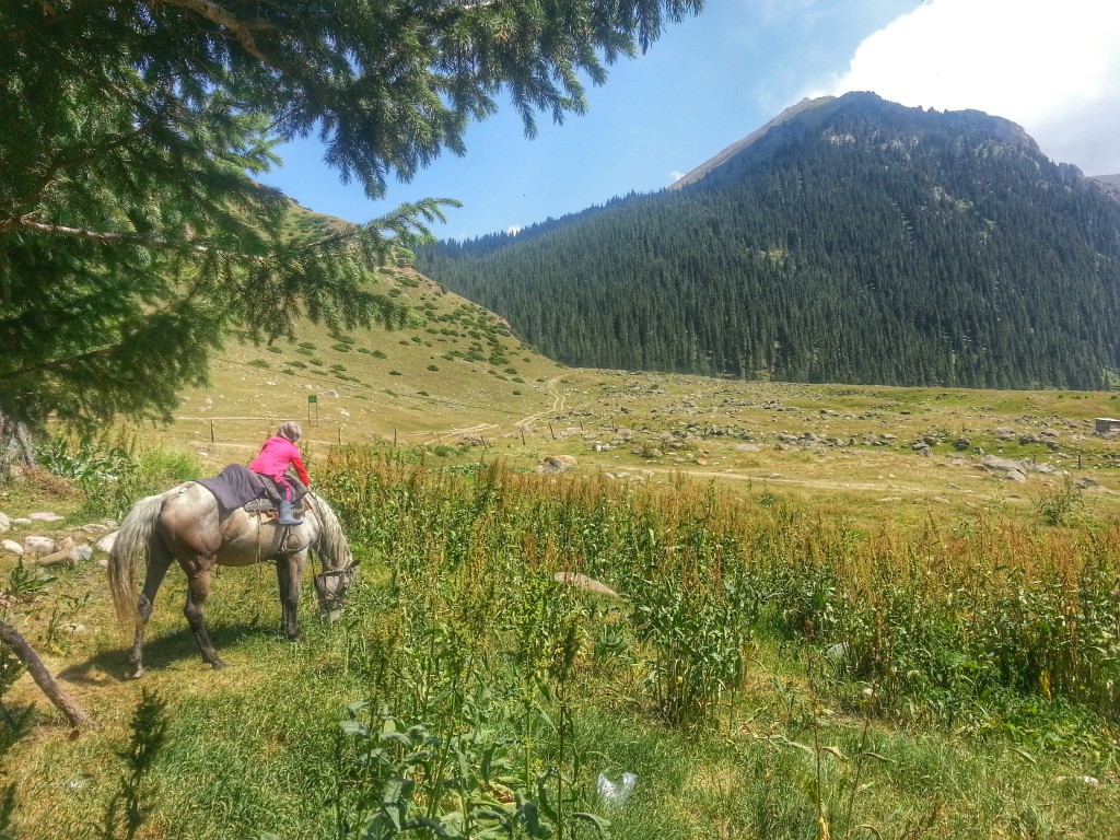 Toddler on Horseback